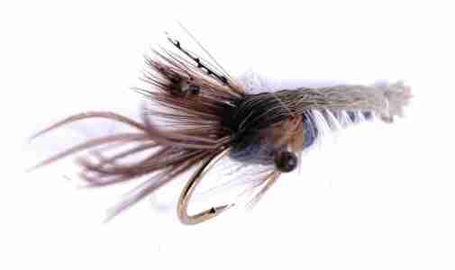 Crayfish