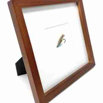 Framed Fully Dressed Salmon Fly - Blue Charm1