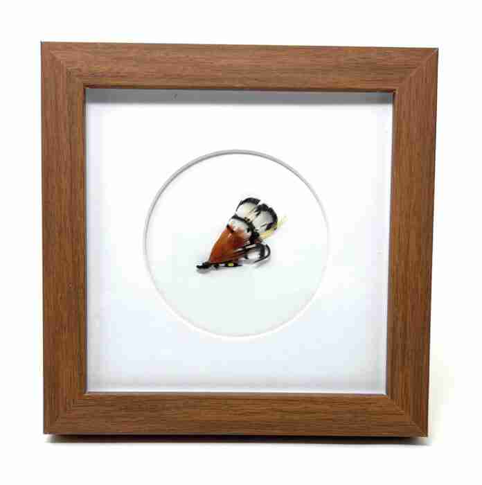 Fully Dressed Lady Amherst Framed Art - 6x6 - Round - Front
