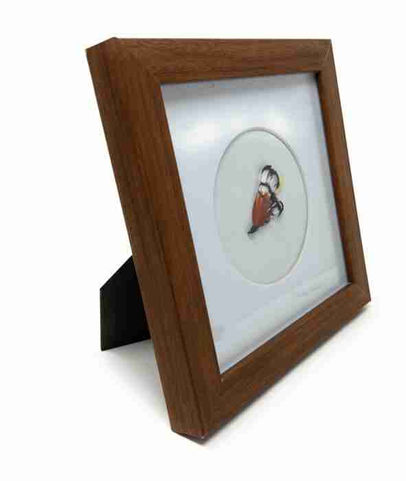 Fully Dressed Lady Amherst Framed Art - 6x6 - Round - Side
